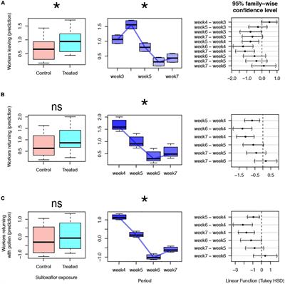 Decreased efficiency of pollen collection due to Sulfoxaflor exposure leads to a reduction in the size of bumble bee workers in late European summer